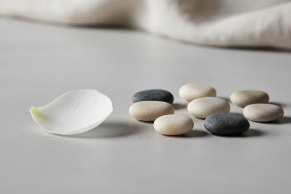 Ethical Waxing: 2025’s 35% Demand Gap